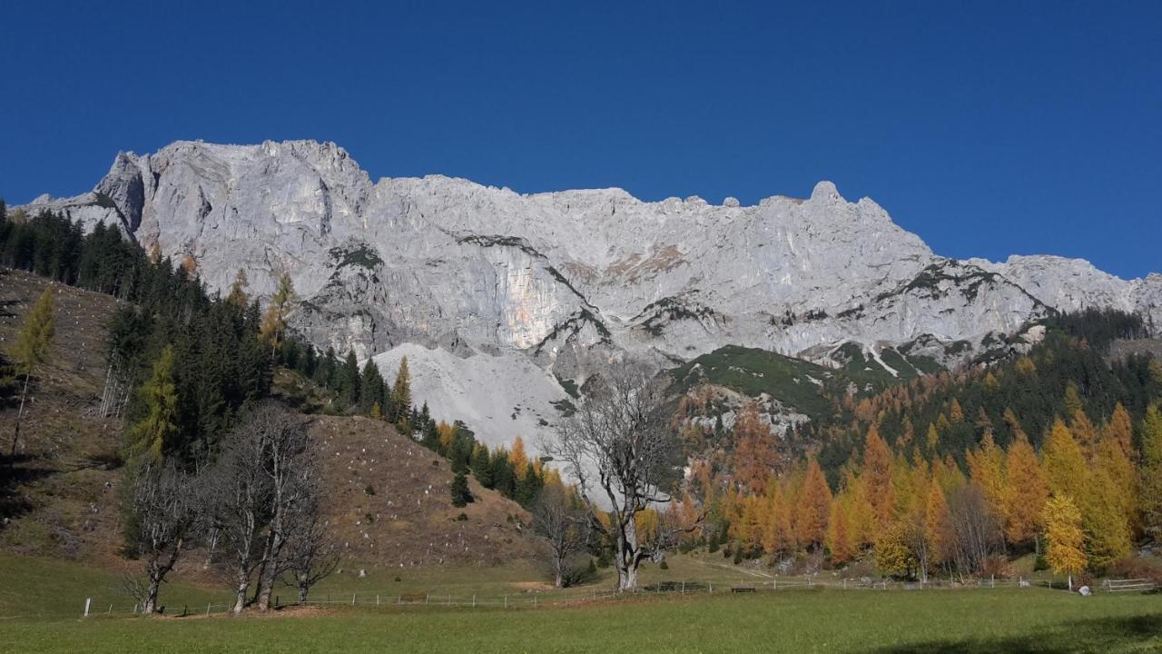 Hotel Neuwirt Ramsau am Dachstein Eksteriør bilde